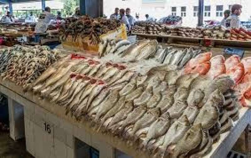 خطة شاملة لزيادة إنتاج الأسماك في مصر