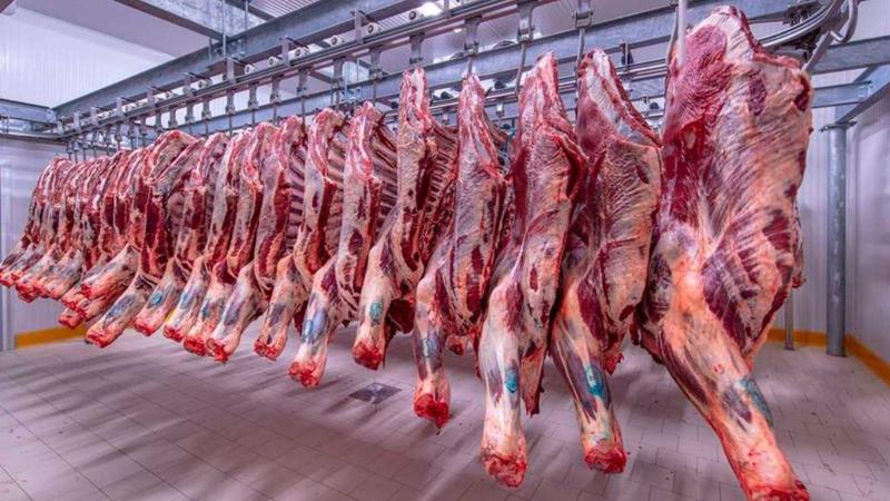 القصابون يشتكون الركود رغم وفرة اللحوم