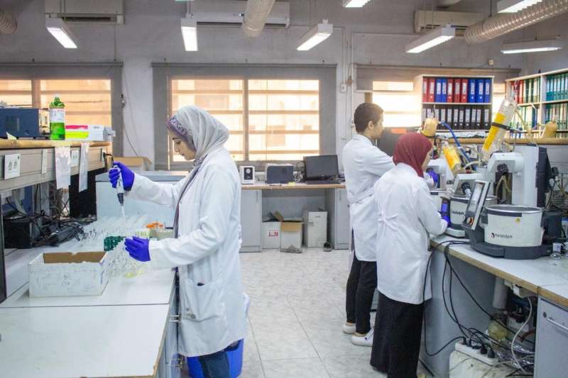 «الزراعة» تحاصر سموم «الخضر والفاكهة» قبل التصدير للأسواق العالمية
