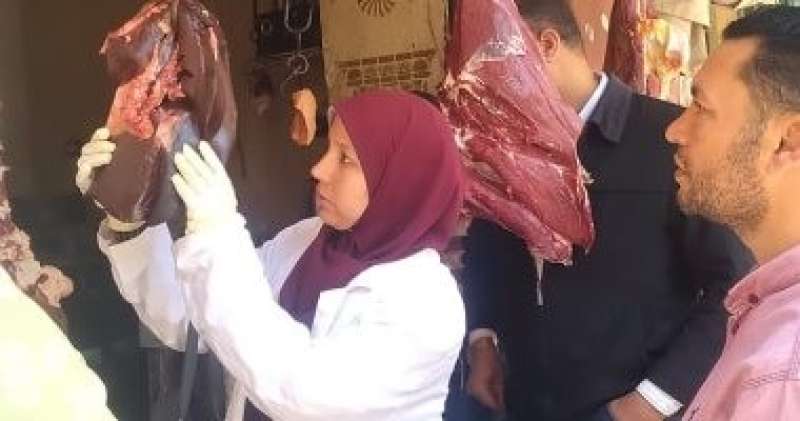الطب البيطري.. حجر زاوية في التنمية المستدامة