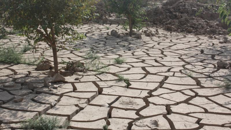 حرب وقائية بالمزارع ضد أمراض المناخ المتقلبة