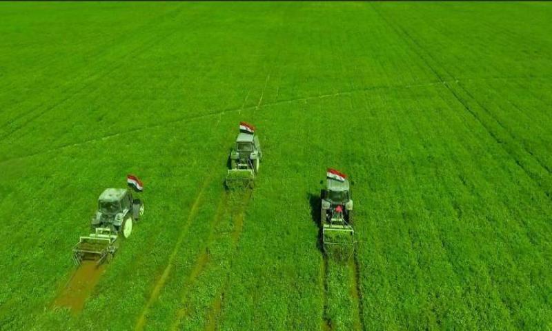 كيف تتقدم للحصول على أرض في مشروع ”مستقبل مصر الزراعي”؟