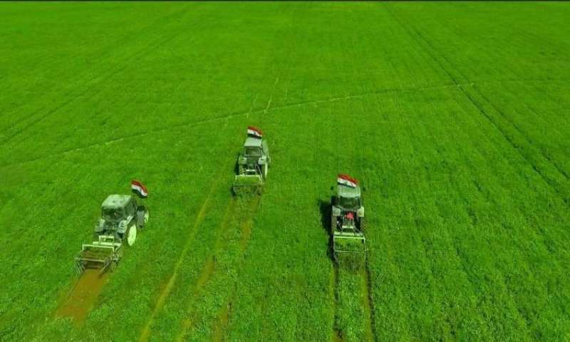كيف تتقدم للحصول على أرض في مشروع ”مستقبل مصر الزراعي”؟