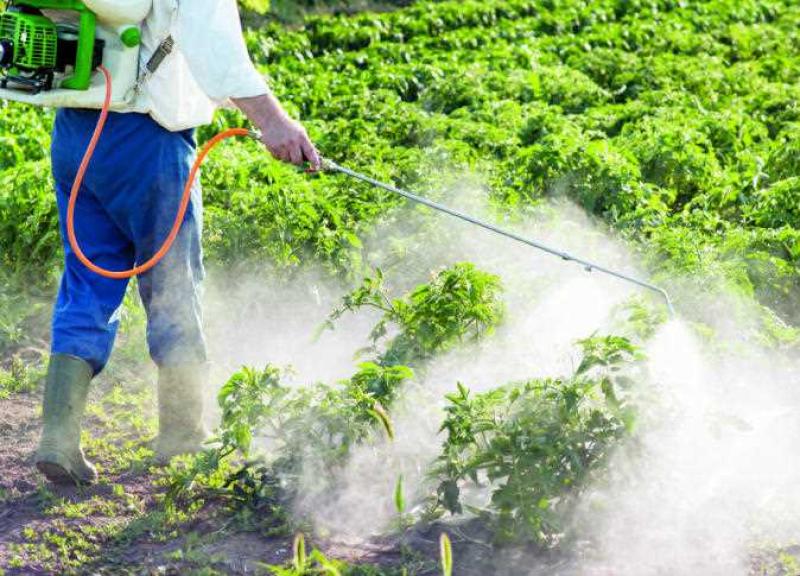 الخدمات الزراعية تكثف جهودها لضبط سوق المبيدات الزراعية