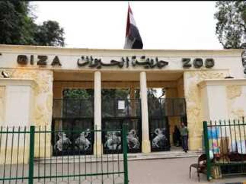 وزير الزراعة يحسم الجدل بشأن سعر تذكرة حديقة الحيوان بالجيزة