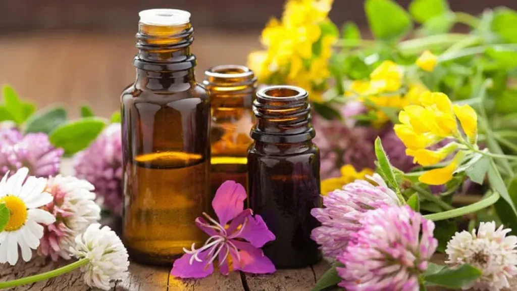 طرق تقليدية لاستخلاص الزيوت تتفوق على الآلات