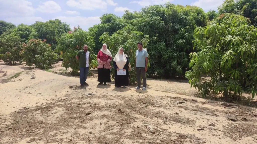 إقامة مشروع إنتاج حيواني بطاقة استيعابية تبلغ 2500 رأس بالإسماعيلية