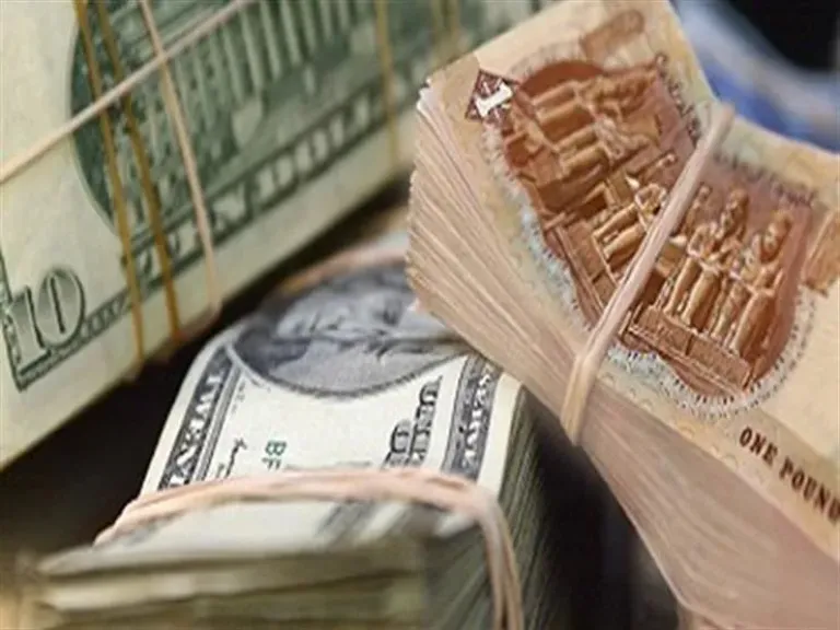 تحسن الجنيه أمام الدولار.. الحكومة تطلق مبادرات فورية لخفض الأسعار