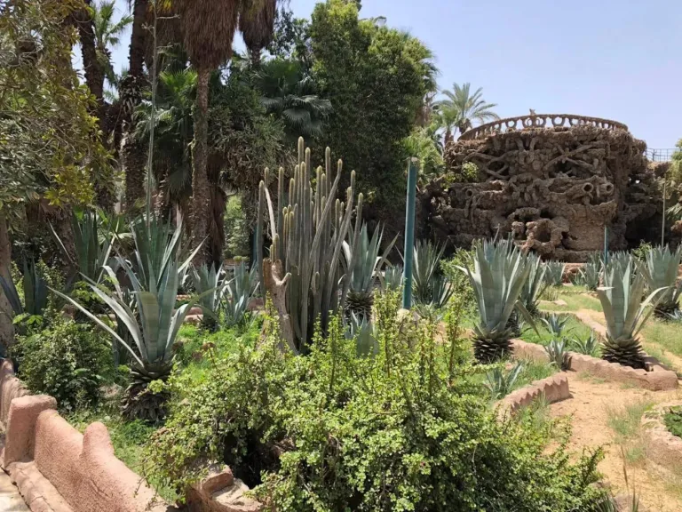الزراعة تحسم الجدل حول مصير أشجار حديقة الحيوان بالجيزة