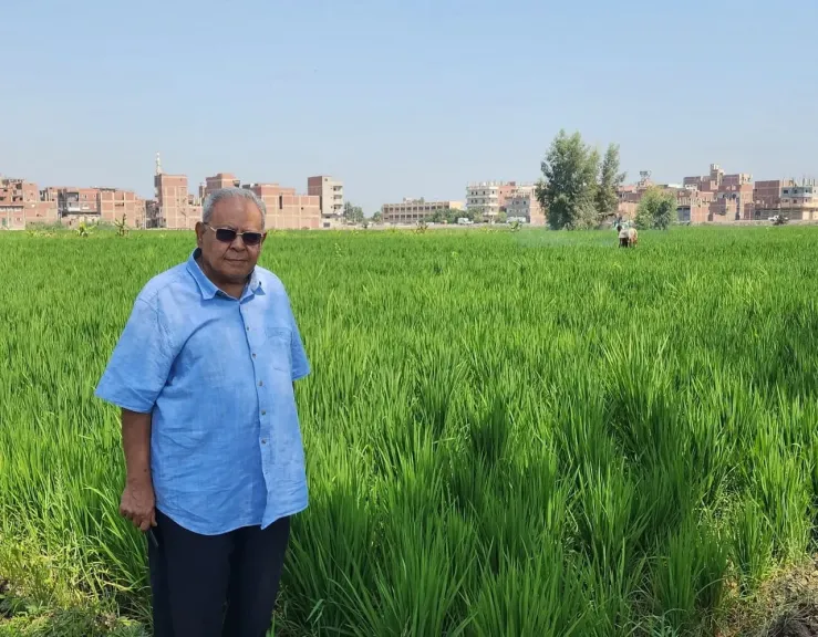 مخترع أرز الجفاف عرابي: يناشد المزارعين بتغيير مفهوم الري الزائد