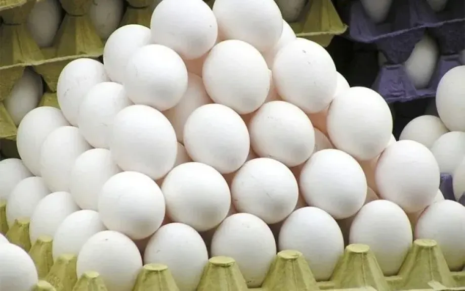 انخفاض 50 جنيها بسعر طبق البيض المحلي
