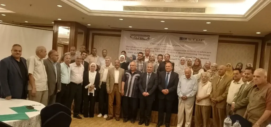 الزراعة تعلن عن 4 أصناف قمح جديدة عالية الإنتاجية