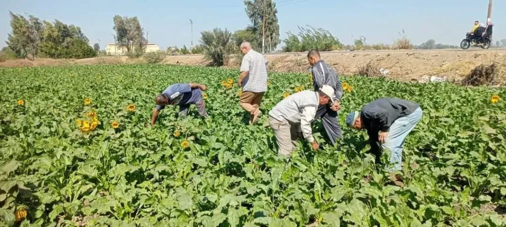 «حيمري»: مراكز الإرشاد أصبحت منصات تنموية متكاملة