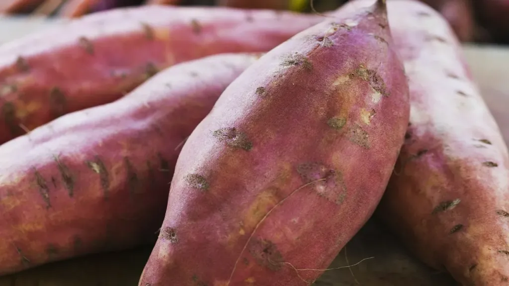 صادرات البطاطا الحلوة المصرية