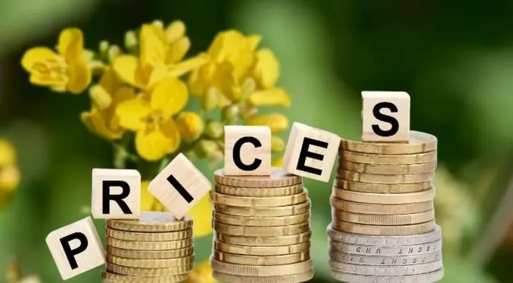 تعافي أسعار بذور اللفت عالميا يدعم السوق الأوكرانية