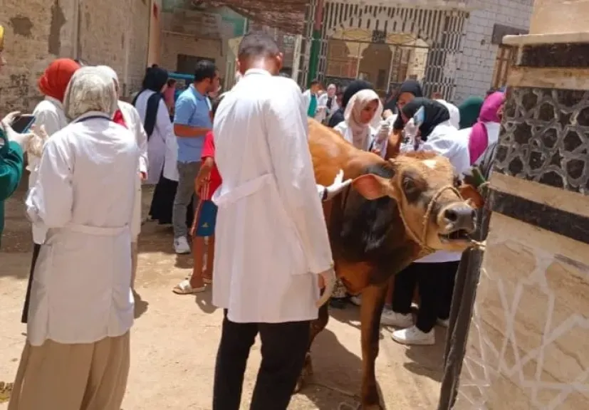 جامعة سوهاج تنقذ الريف بقافلة بيطرية مجانية