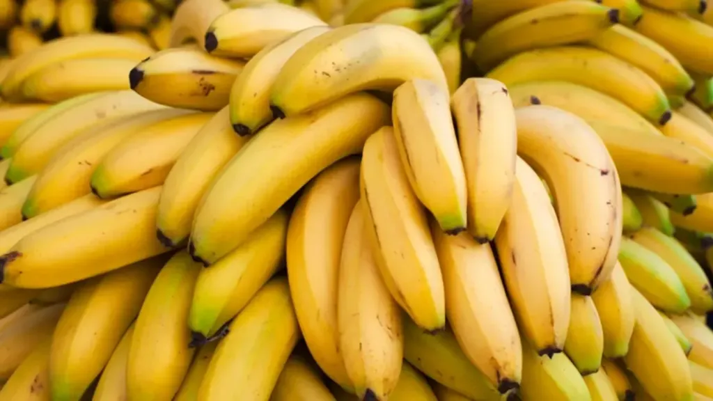 أزمات المناخ والأمراض تهدد مستقبل الموز