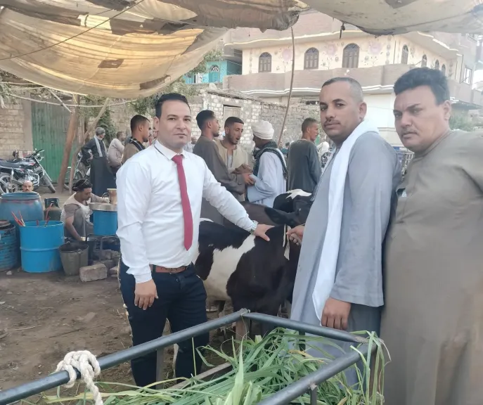أسواق المواشي في سوهاج على حافة الانهيار.. تجار يصرخون: ”الوضع كارثي ولا رقابة”