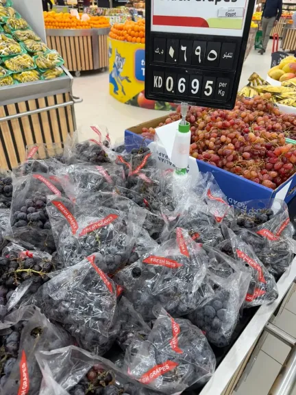 ضعف التغليف يهدد سمعة المحاصيل المصرية في الأسواق الخارجية رغم جودتها العالية
