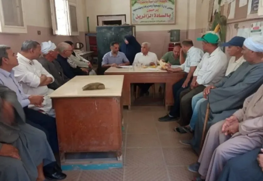 تعرف على فوائد زراعة البرسيم الفحل بين الذرة والأرز