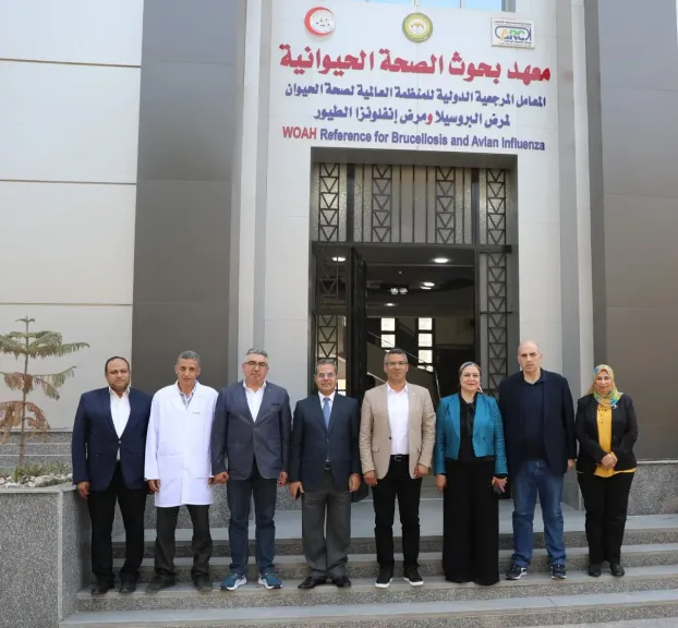 تعاون زراعي مصري لبناني في استنباط المحاصيل وتحسين الثروة الحيوانية