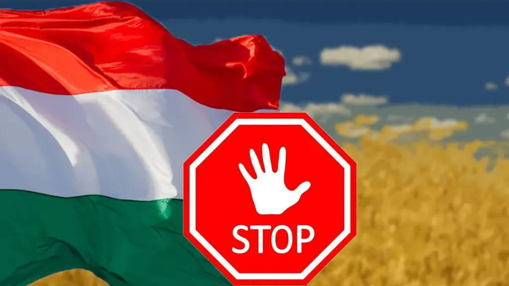 المجر تمدد حظر استيراد الحبوب الأوكرانية لحماية أسواقها المحلية