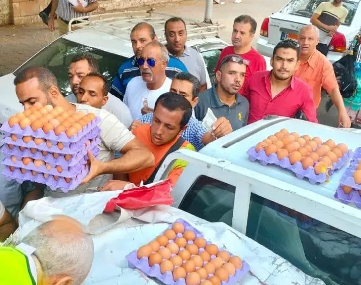 الزراعة تحاصر جشع تجار الدواجن بـ350 منفذًا بأسعار مناسبة