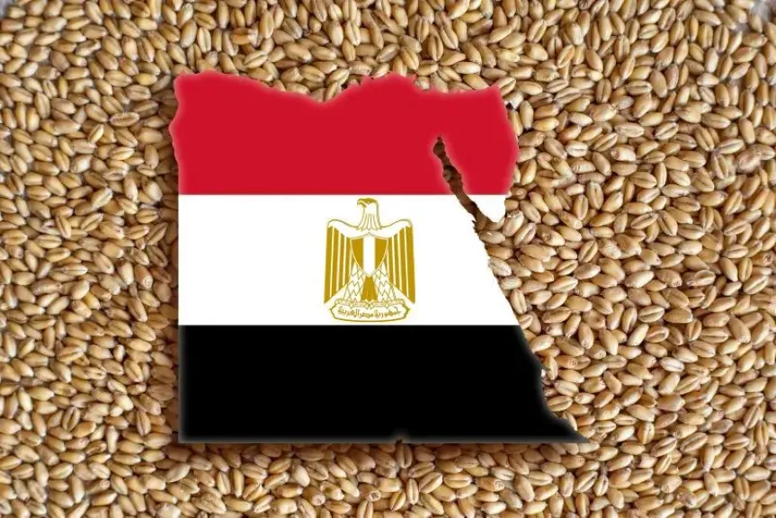 تراجع واردات القمح في مصر بنسبة 21%