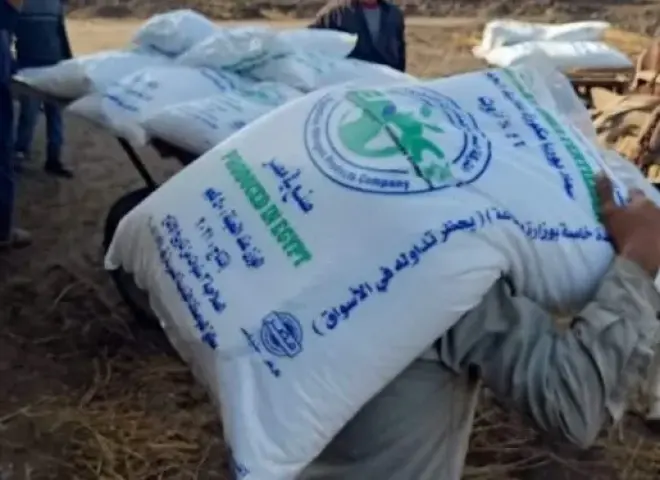 إنتاج البطاطس في خطر.. والأسمدة الحرة ترهق الفلاحين
