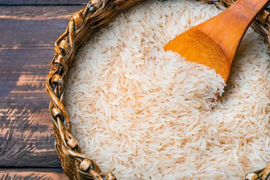 الفلبين تعلق استيراد الأرز لحماية المزارعين المحليين
