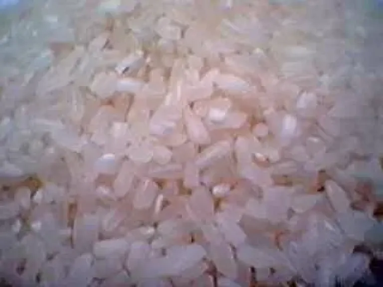 تعرف على أسباب كسر حبوب الأرز