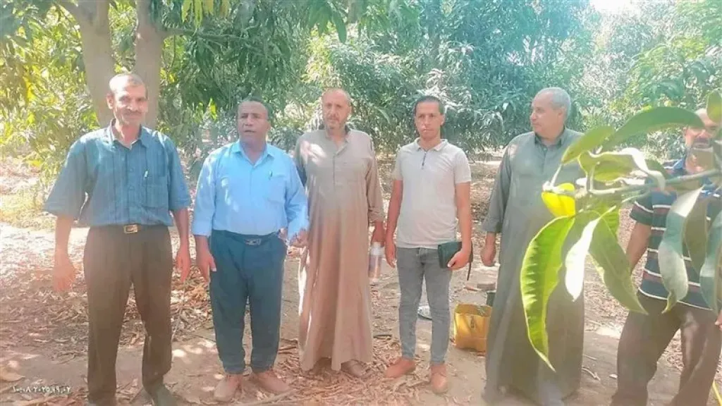 «زراعة الإسماعيلية» تطلق خطة طوارئ لحماية المانجو من «ذبابة الفاكهة»