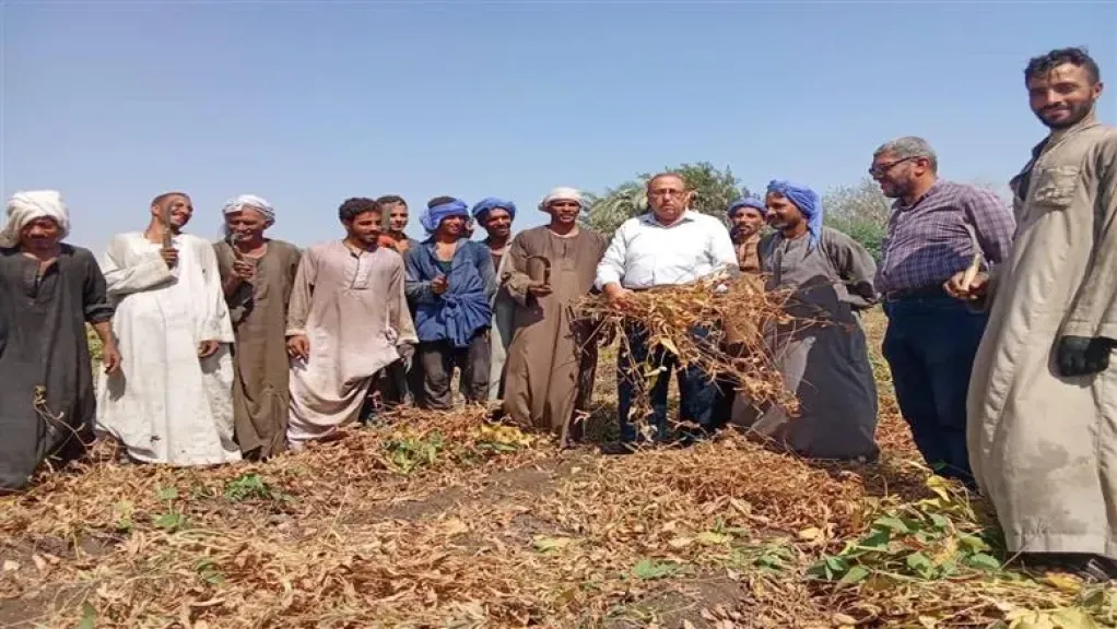 فول الصويا.. سلاح الزراعة لمواجهة أعباء الاستيراد