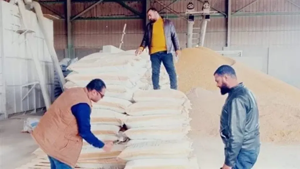 أعلاف فاسدة