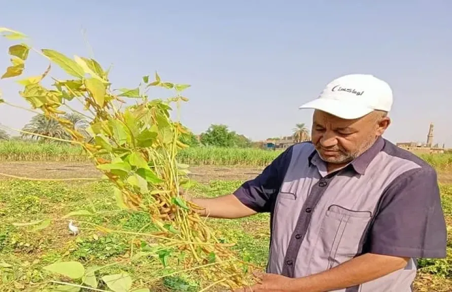 أسوان تعلن الطوارئ لحماية الرقعة الزراعية