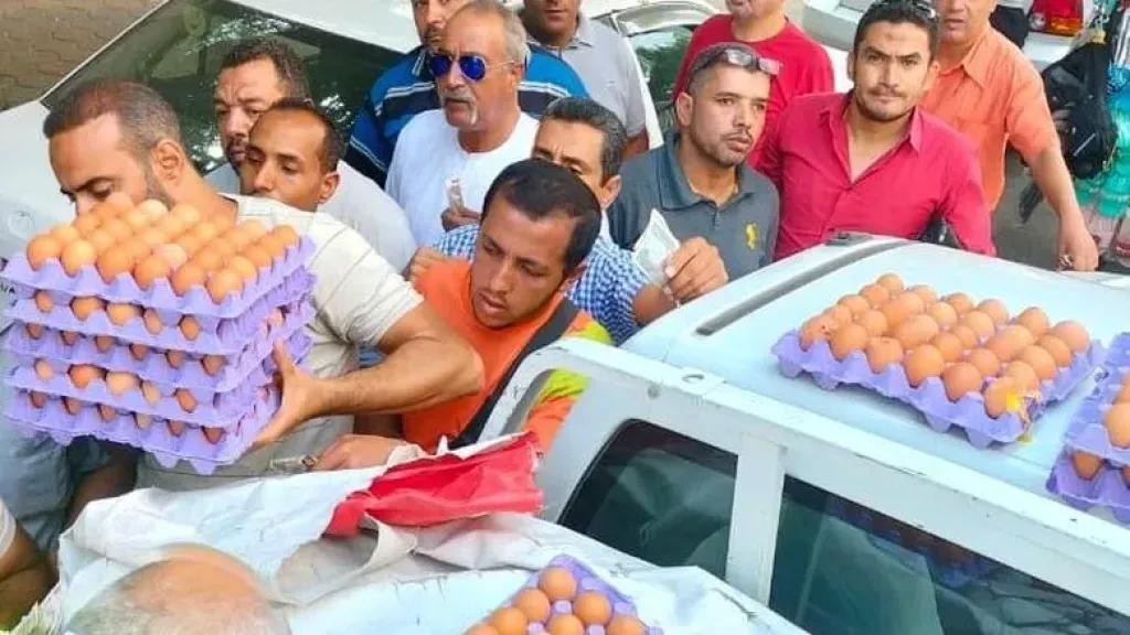 ربع مليار بيضة سنويًا.. خطة حكومية لتوفير الغذاء بأسعار تنافسية