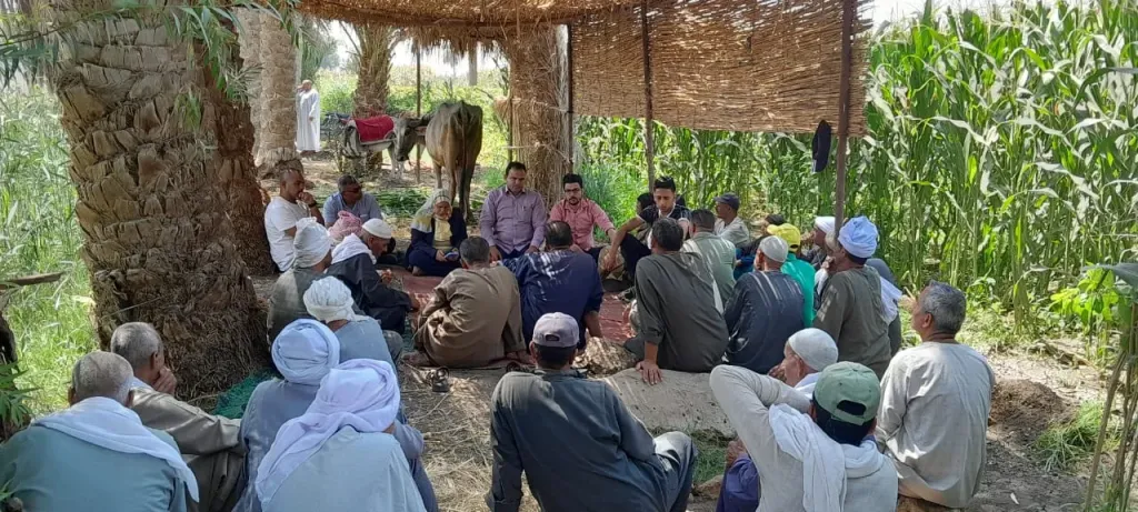 حملات لدعم زراعة المحاصيل الاستراتيجية والصويا وعباد الشمس بالمنيا والغربية