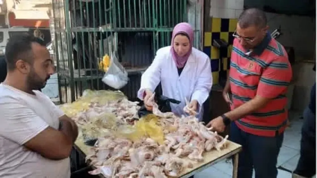 تموين المنيا تضبط 136 كيلو لحوماً فاسدة