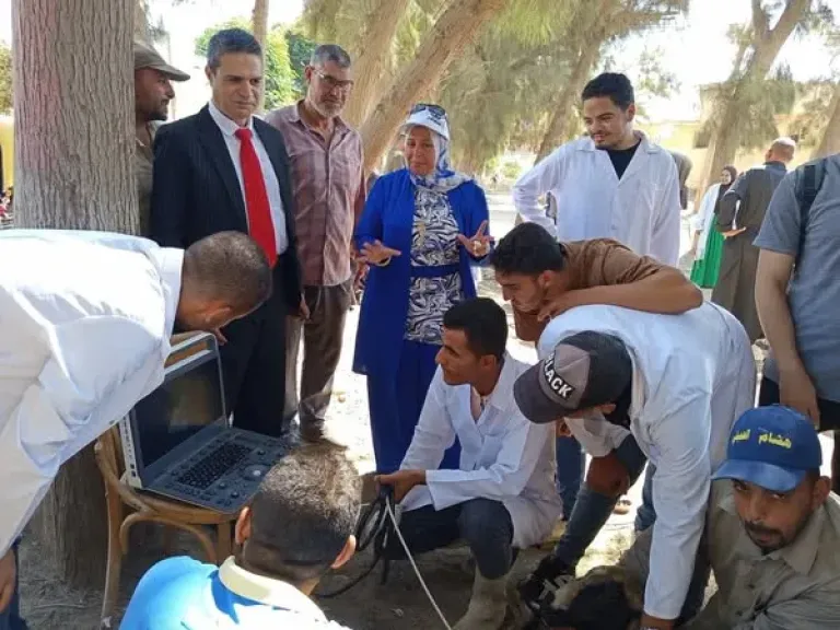 الزراعة: تحصين 24 ألف رأس ماشية ضد الأمراض الوراثية