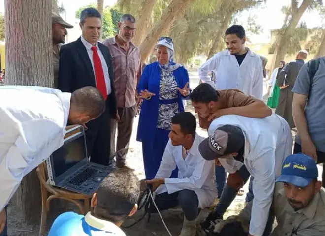 الزراعة: تحصين 24 ألف رأس ماشية ضد الأمراض الوراثية