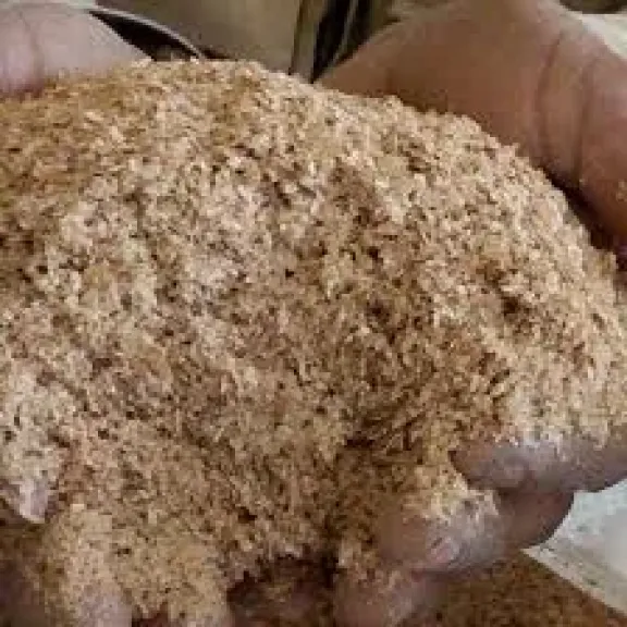 أسعار خامات الأعلاف اليوم الأحد