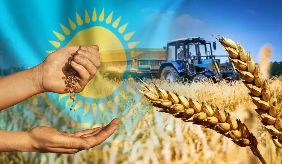 كازاخستان تصدر 10.4 مليون طن من الحبوب في 2025/2026