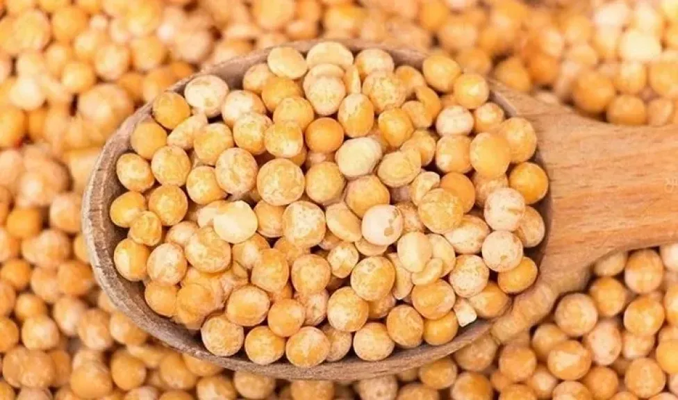 روسيا تواجه فائضا قياسيا من البازلاء في 2025