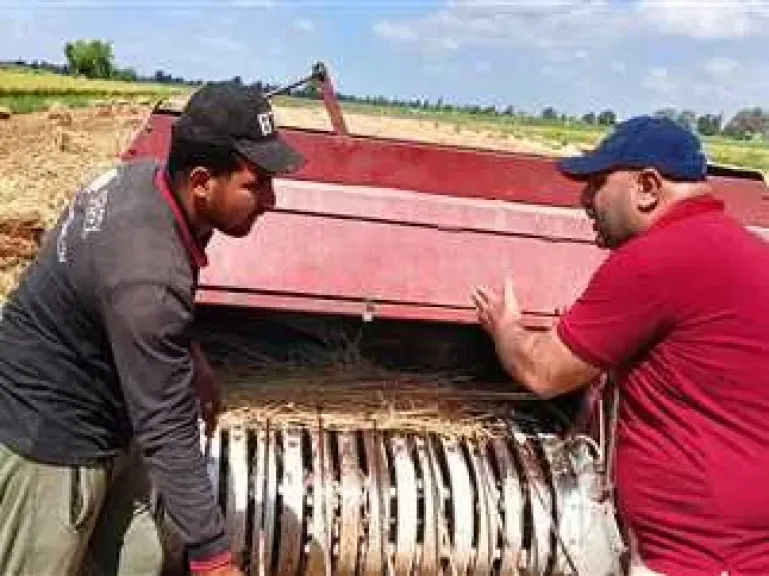 الدليل الكامل للاستفادة من قش الأرز في الزراعة والصناعة