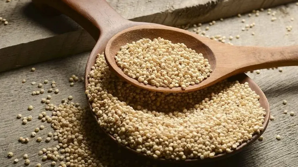 الصين تفتح أبوابها أمام الذرة الرفيعة البرازيلية