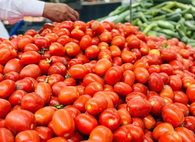 عودة ارتفاع أسعار الطماطم تربك الأسواق والمستهلكين