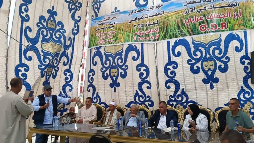 احتفال بحصاد أرز الجفاف عرابي في قرى أبيس