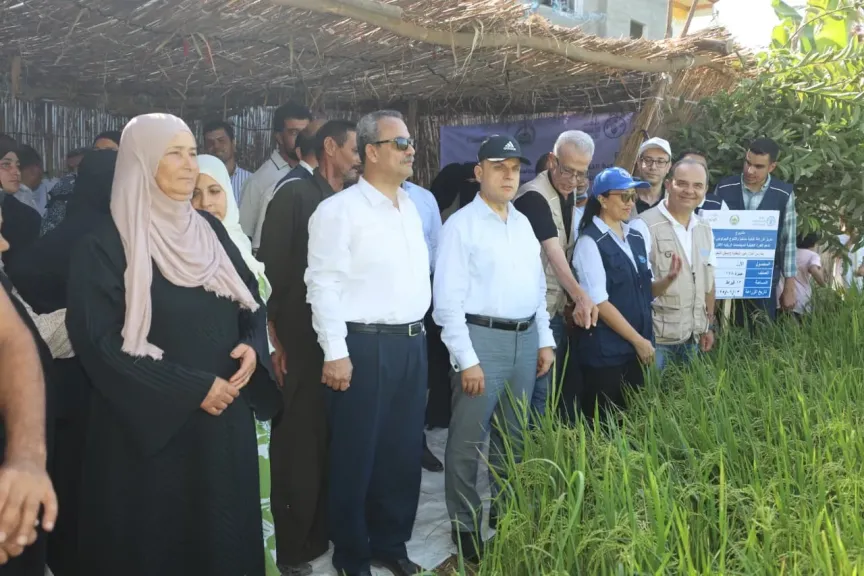 تجربة رائدة لتقليل استهلاك المياه في الأرز