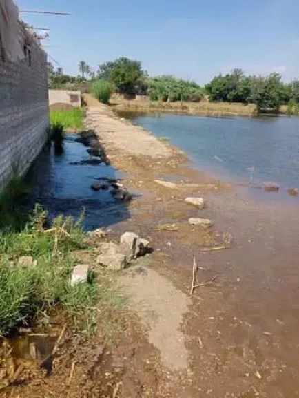 «زراعة المنوفية » تكشف تفاصيل غرق مساحات زراعية