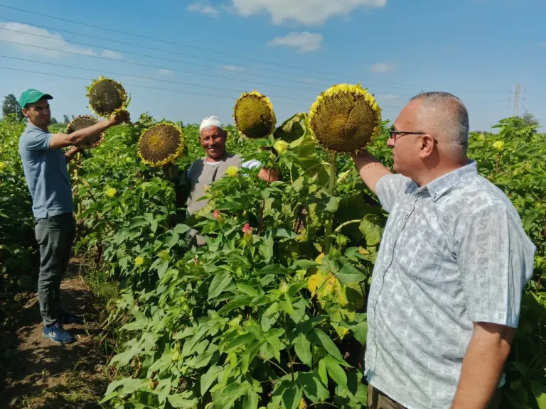 جهود وأنشطة معامل ومعاهد البحوث الزراعية خلال أسبوع